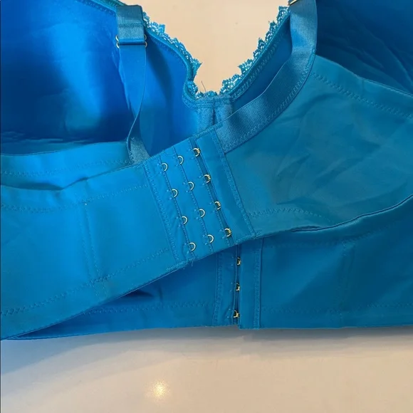 Butterfly by Ashley Stewart Blue Full Coverage Bra Sz 46F NWT - Picture 5 of 5